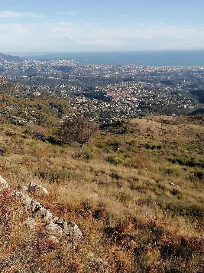Studio Au Milieu D Une Oliveraie Le Mas De La Huppe Tourrettes-sur-Loup Appartamento