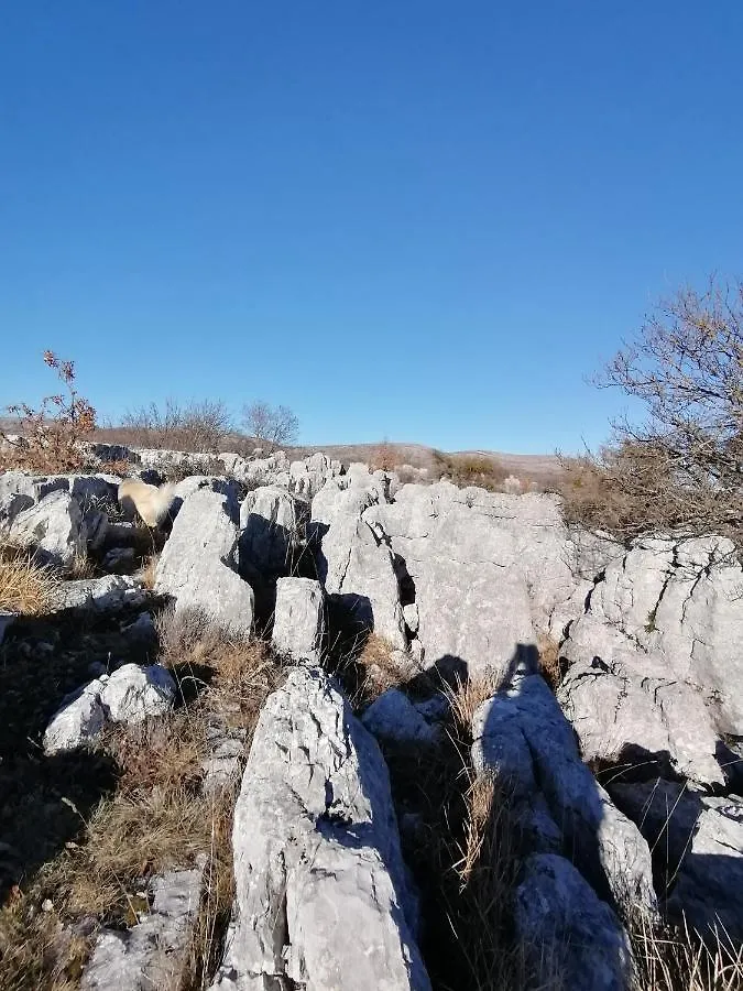 Appartamento Studio Au Milieu D Une Oliveraie Le Mas De La Huppe Tourrettes-sur-Loup